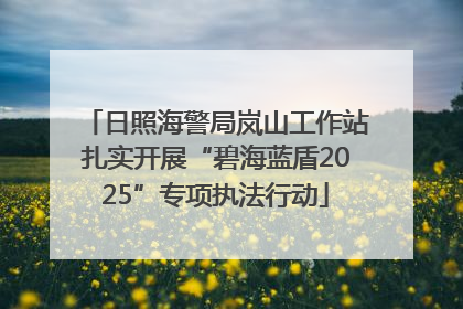 日照海警局岚山工作站扎实开展“碧海蓝盾2025”专项执法行动