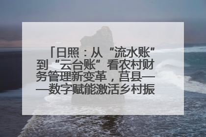 日照：从“流水账”到“云台账”看农村财务管理新变革，莒县——数字赋能激活乡村振兴“一池春水”