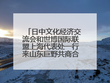 日中文化经济交流会和世博国际联盟上海代表处一行来山东巨野共商合作新机遇