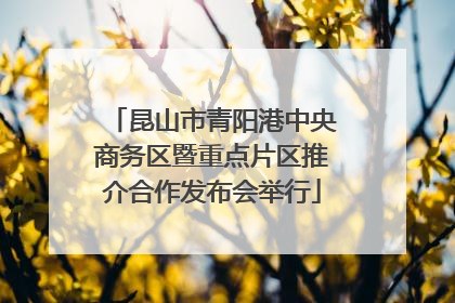 昆山市青阳港中央商务区暨重点片区推介合作发布会举行