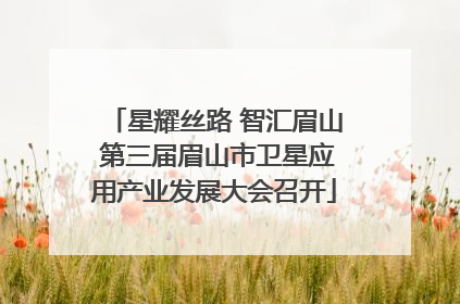 星耀丝路 智汇眉山 第三届眉山市卫星应用产业发展大会召开
