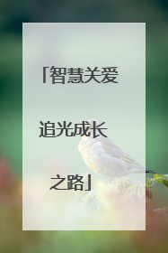 智慧关爱 追光成长之路