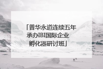 普华永道连续五年承办IBI国际企业孵化器研讨班