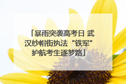 暴雨突袭高考日 武汉纱帽街执法“铁军”护航考生逐梦路