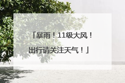 暴雨！11级大风！出行请关注天气！