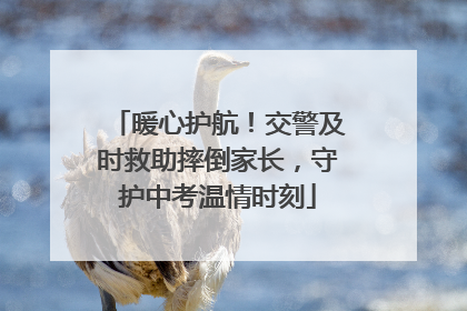 暖心护航！交警及时救助摔倒家长，守护中考温情时刻