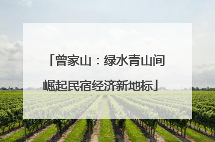曾家山：绿水青山间崛起民宿经济新地标