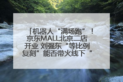 机器人“满场跑”！京东MALL北京二店开业 刘强东“等比例复刻”能否带火线下“618”？