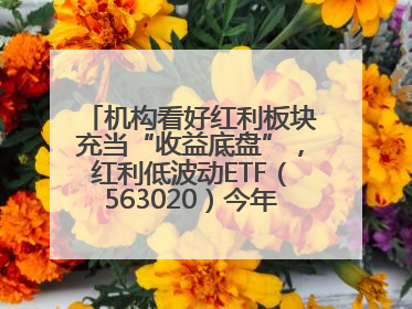 机构看好红利板块充当“收益底盘”，红利低波动ETF（563020）今年第2次分红来了