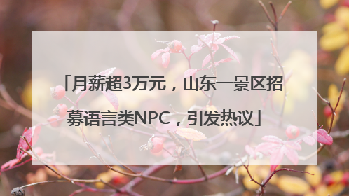 月薪超3万元，山东一景区招募语言类NPC，引发热议