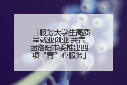 服务大学生高质量就业创业 共青团洛阳市委推出四项“青”心服务