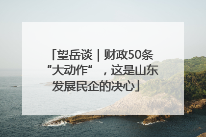 望岳谈｜财政50条“大动作”，这是山东发展民企的决心
