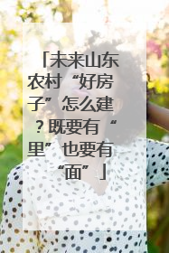未来山东农村“好房子”怎么建？既要有“里”也要有“面”
