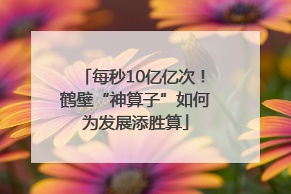 每秒10亿亿次！鹤壁“神算子”如何为发展添胜算