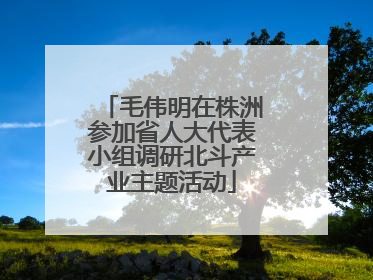 毛伟明在株洲参加省人大代表小组调研北斗产业主题活动