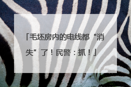 毛坯房内的电线都“消失”了！民警：抓！