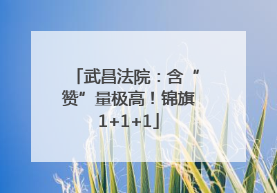 武昌法院：含“赞”量极高！锦旗1+1+1