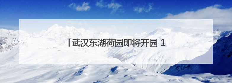 武汉东湖荷园即将开园 1200余种荷花竞相绽放