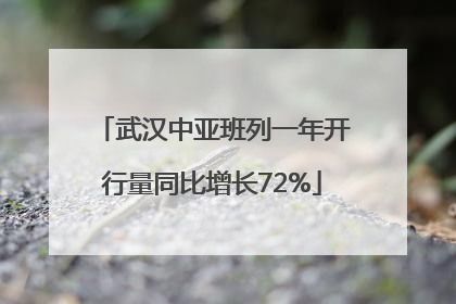 武汉中亚班列一年开行量同比增长72%