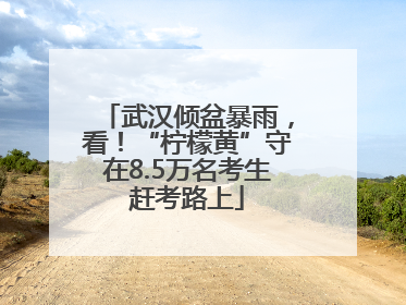 武汉倾盆暴雨，看！“柠檬黄”守在8.5万名考生赶考路上