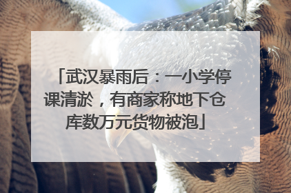 武汉暴雨后：一小学停课清淤，有商家称地下仓库数万元货物被泡