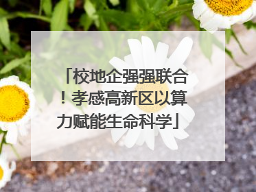 校地企强强联合！孝感高新区以算力赋能生命科学