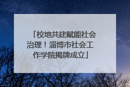 校地共建赋能社会治理！淄博市社会工作学院揭牌成立
