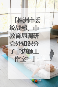 株洲市委统战部、市教育局调研党外知识分子“边颖工作室”