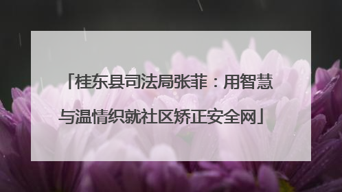 桂东县司法局张菲：用智慧与温情织就社区矫正安全网