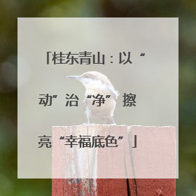 桂东青山：以“动”治“净” 擦亮“幸福底色”