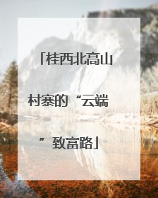 桂西北高山村寨的“云端”致富路