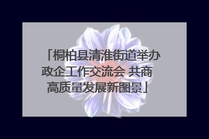 桐柏县清淮街道举办政企工作交流会 共商高质量发展新图景