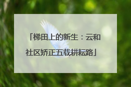 梯田上的新生：云和社区矫正五载耕耘路