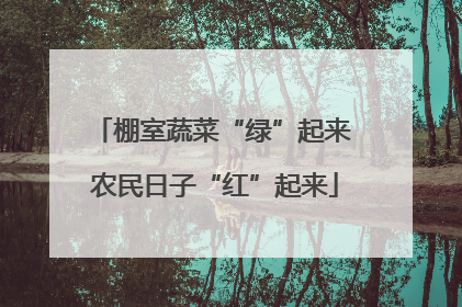 棚室蔬菜“绿”起来 农民日子“红”起来