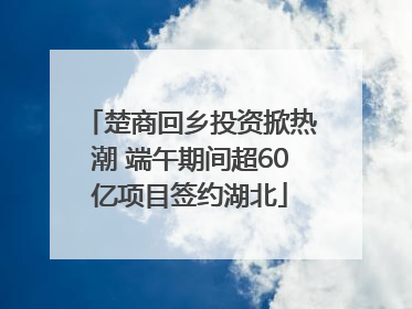 楚商回乡投资掀热潮 端午期间超60亿项目签约湖北