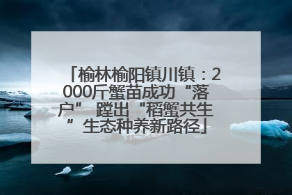 榆林榆阳镇川镇：2000斤蟹苗成功“落户” 蹚出“稻蟹共生”生态种养新路径
