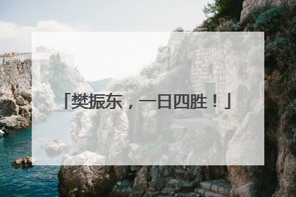 樊振东，一日四胜！