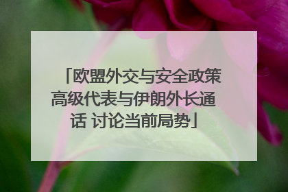 欧盟外交与安全政策高级代表与伊朗外长通话 讨论当前局势