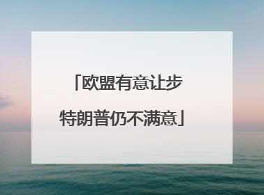 欧盟有意让步 特朗普仍不满意