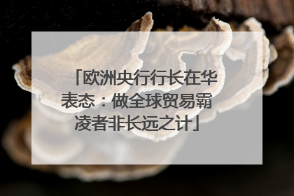 欧洲央行行长在华表态：做全球贸易霸凌者非长远之计