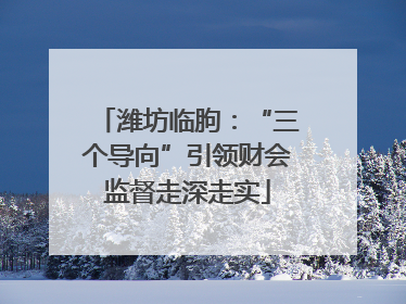 潍坊临朐：“三个导向”引领财会监督走深走实