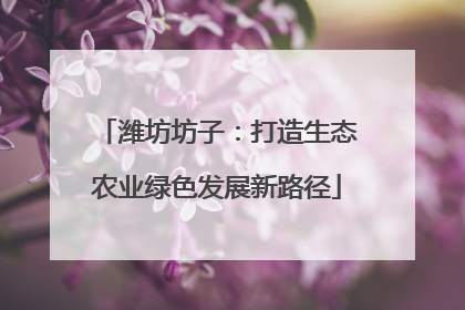 潍坊坊子：打造生态农业绿色发展新路径