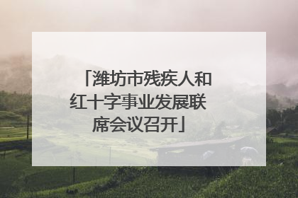 潍坊市残疾人和红十字事业发展联席会议召开