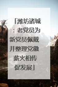潍坊诸城：老党员为新党员佩戴并整理党徽 薪火相传促发展