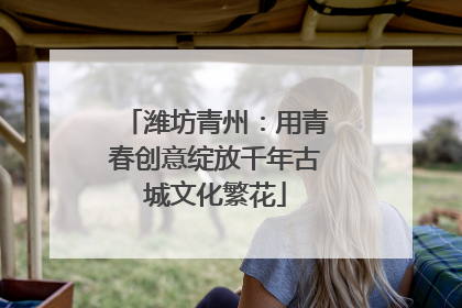 潍坊青州：用青春创意绽放千年古城文化繁花