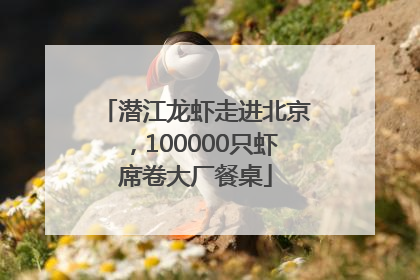 潜江龙虾走进北京，100000只虾席卷大厂餐桌