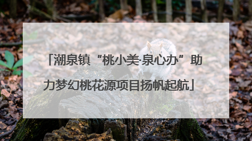 潮泉镇“桃小美·泉心办”助力梦幻桃花源项目扬帆起航