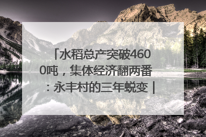 水稻总产突破4600吨，集体经济翻两番：永丰村的三年蜕变｜您牵挂的四川