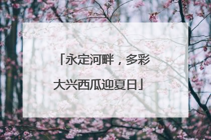 永定河畔，多彩大兴西瓜迎夏日