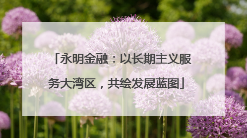 永明金融：以长期主义服务大湾区，共绘发展蓝图